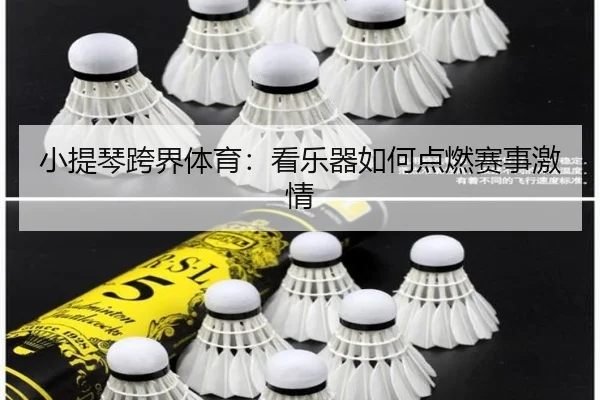 小提琴跨界体育：看乐器如何点燃赛事激情