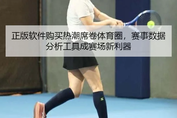 正版软件购买热潮席卷体育圈，赛事数据分析工具成赛场新利器