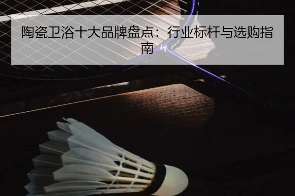 陶瓷卫浴十大品牌盘点：行业标杆与选购指南