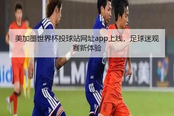 美加墨世界杯投球站网址app上线，足球迷观赛新体验