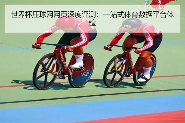 世界杯压球网网页深度评测：一站式体育数据平台体验